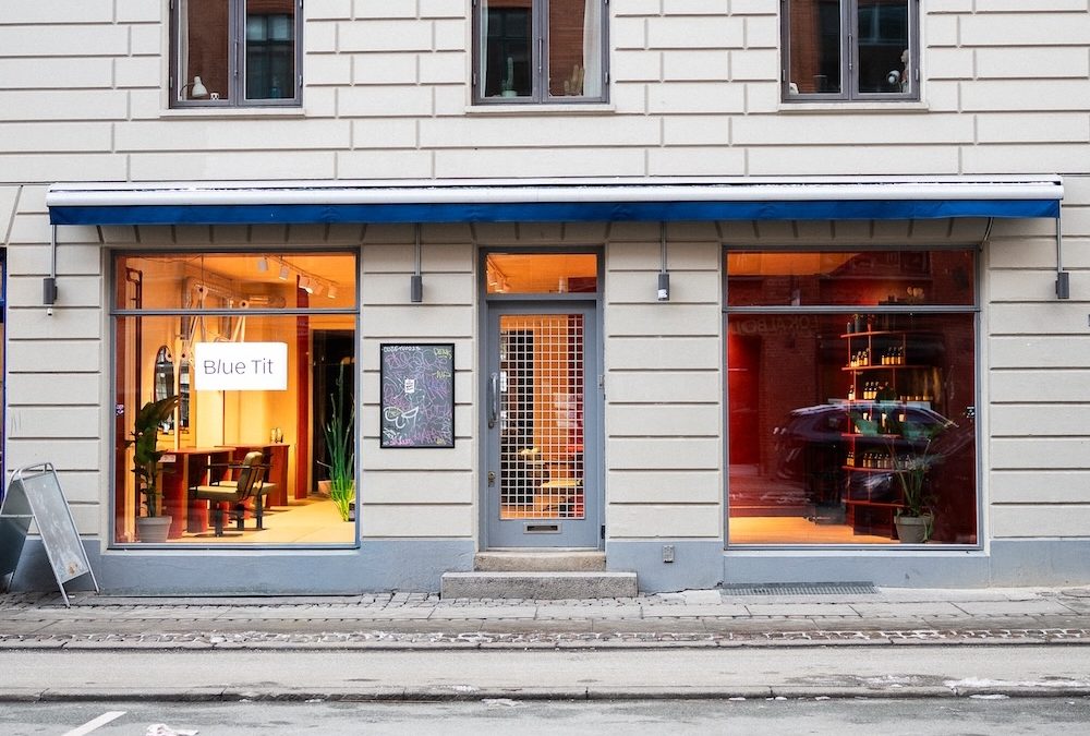 Blue Tit Goes Global